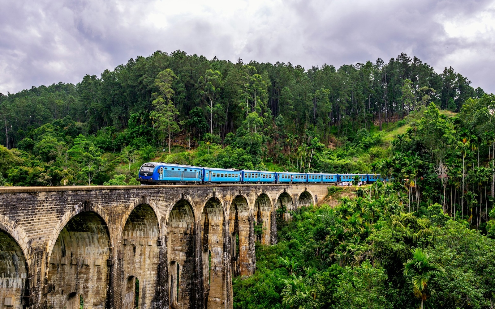 vacances sri-lanka train dans la jungle