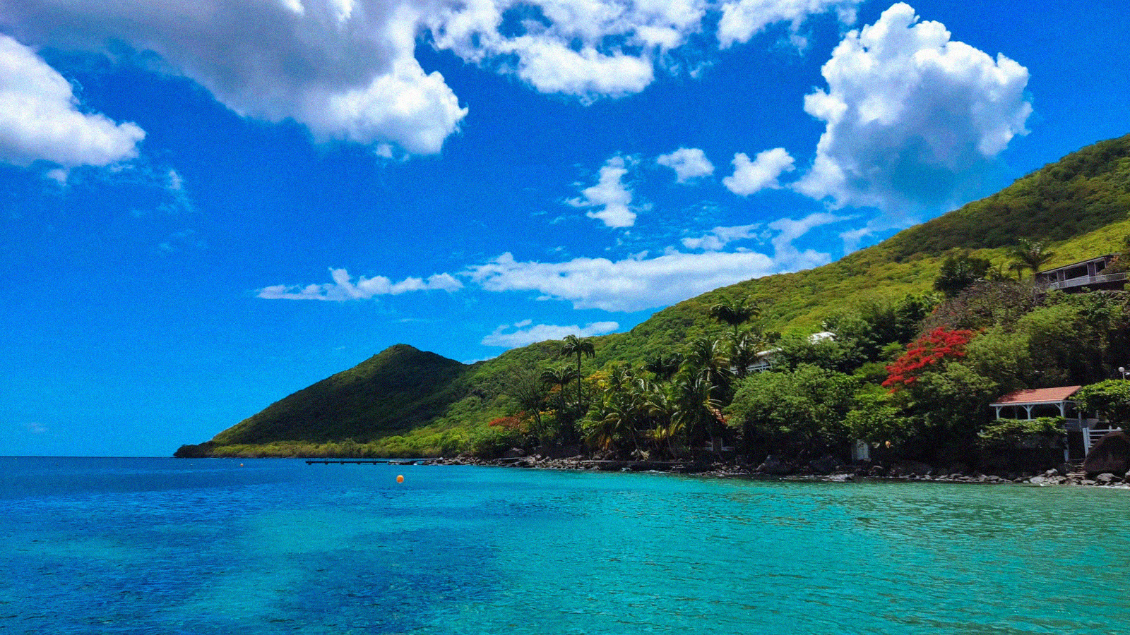 Vacances de la toussaint en martinique comment profiter de