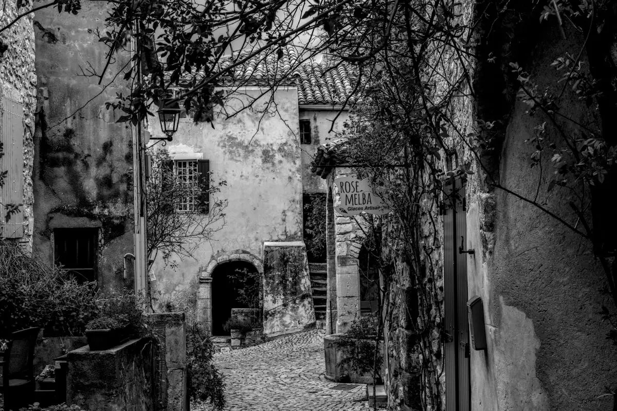 A picturesque black and white view of a quaint alley in a French village, capturing rustic architecture and cobblestones.
