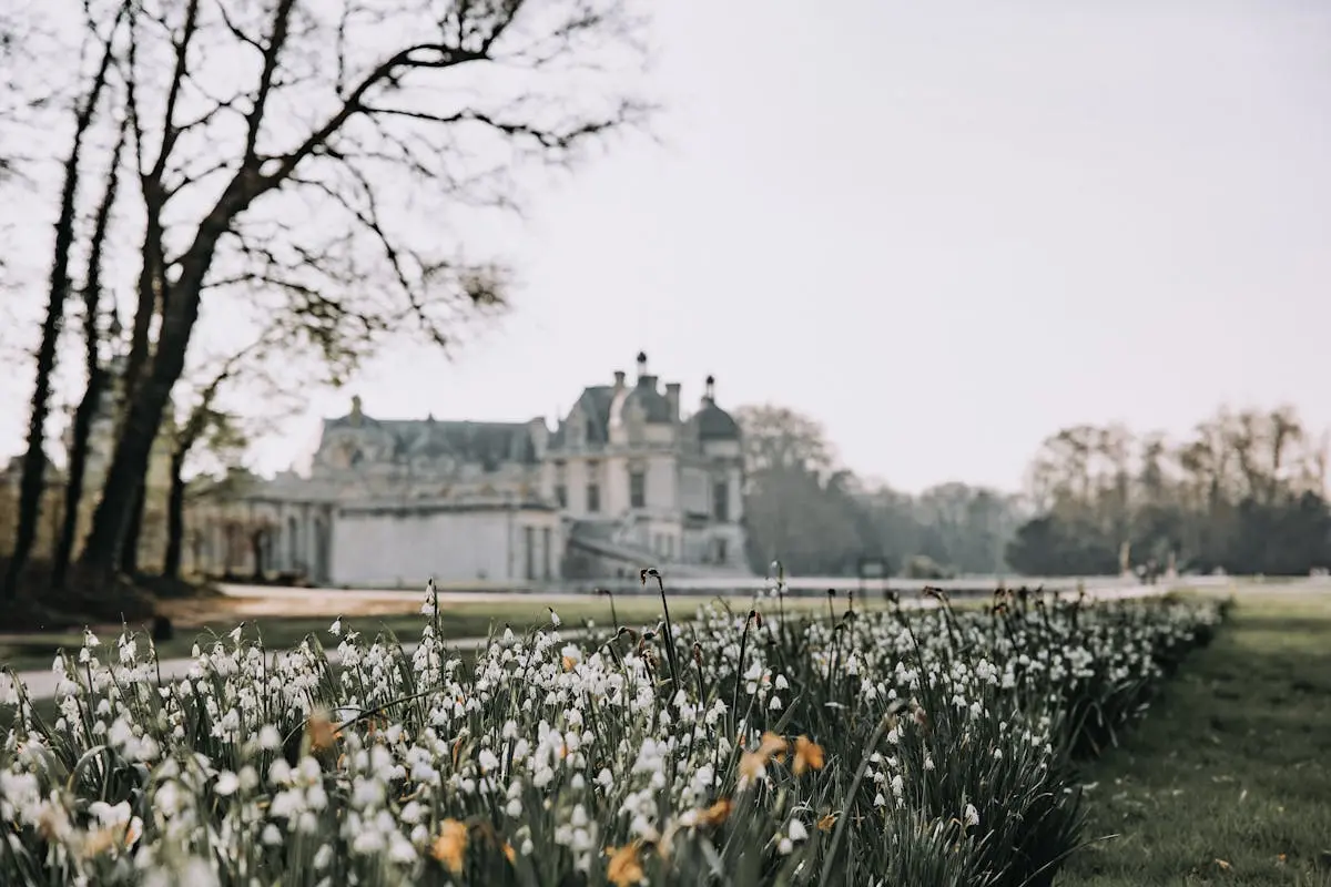 Château avec jardins fleuris en Pays de la Loire - Angers