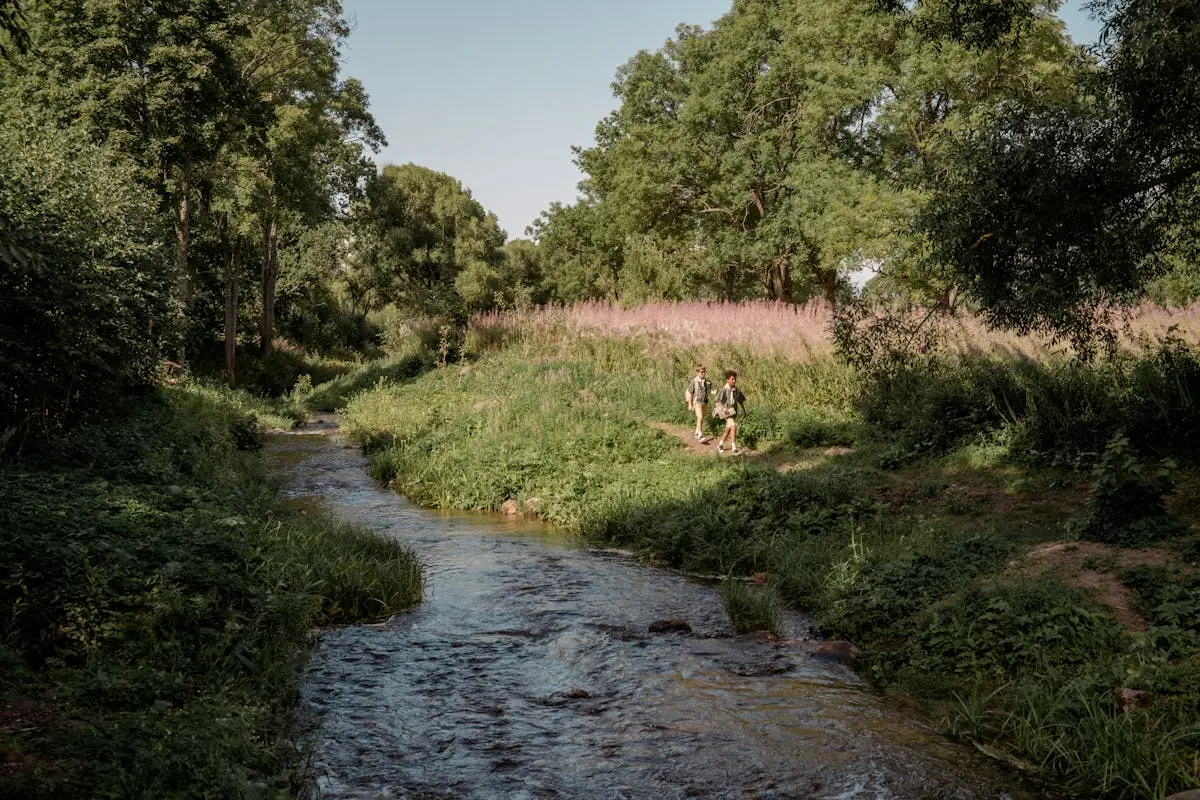 Ruisseau et forêt dans la nature en Seine-Saint-Denis - Aulnay