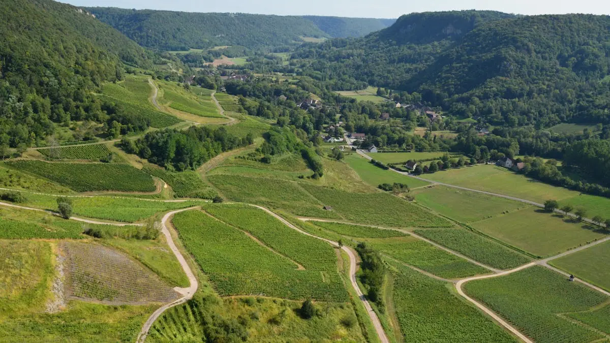 Aerial view of lush vineyards in Château-Chalon, Bourgogne-Franche-Comté, France.
