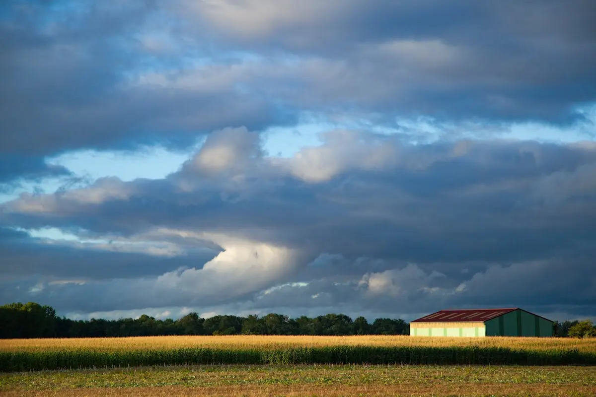 Campagne vallonnée de la vallée de la Marne - Champigny-sur-Marne