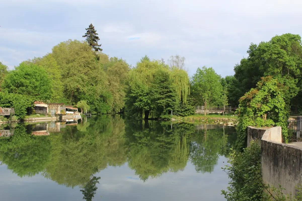 Rivière paisible avec reflets dans la verdure - Champigny-sur-Marne