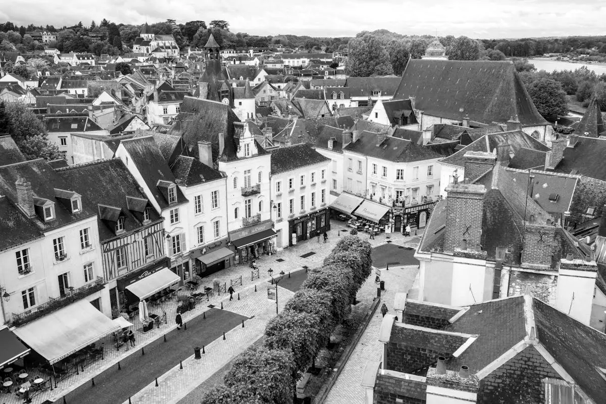 Black and white aerial image capturing the charming rooftops of Amboise, France, highlighting classic architecture.