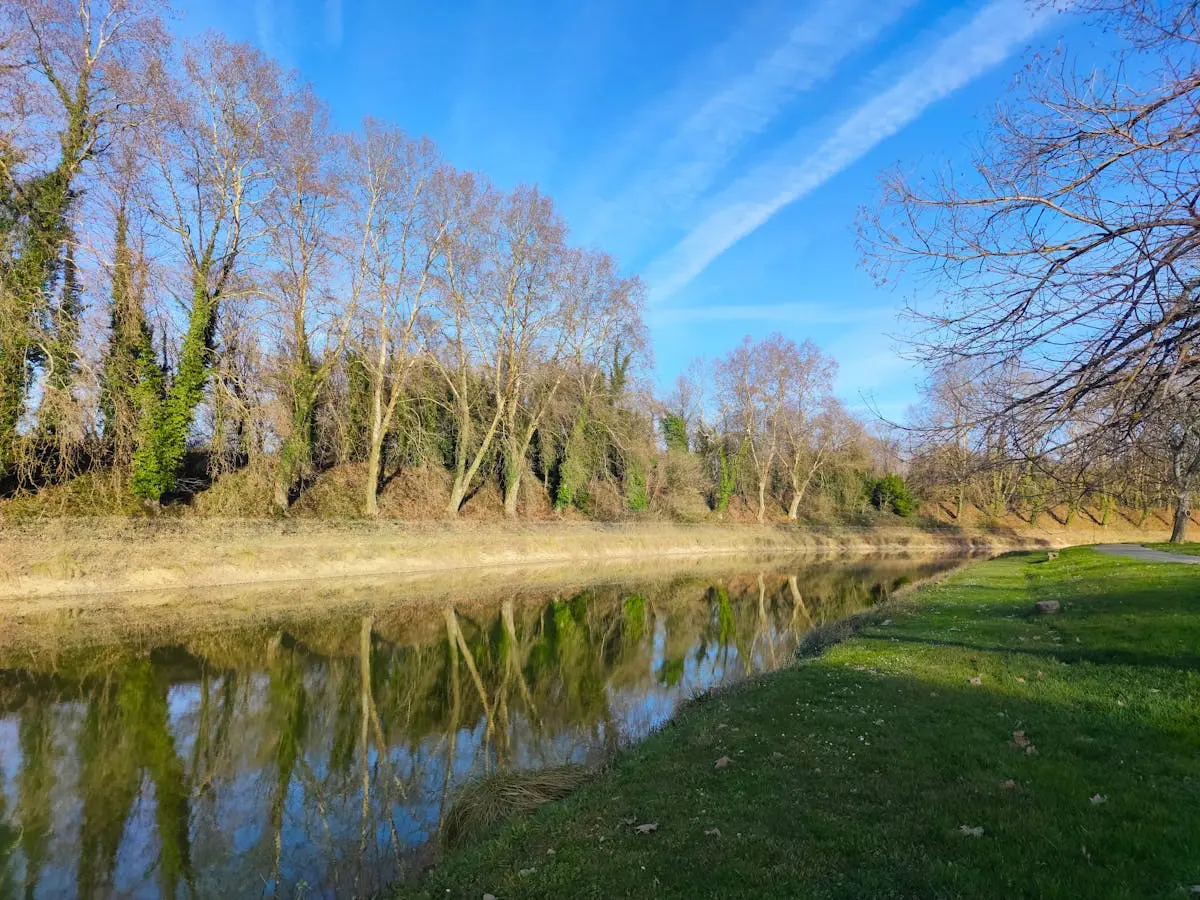 Serene river landscape in Nouvelle-Aquitaine, showcasing reflection of trees and clear blue sky.
