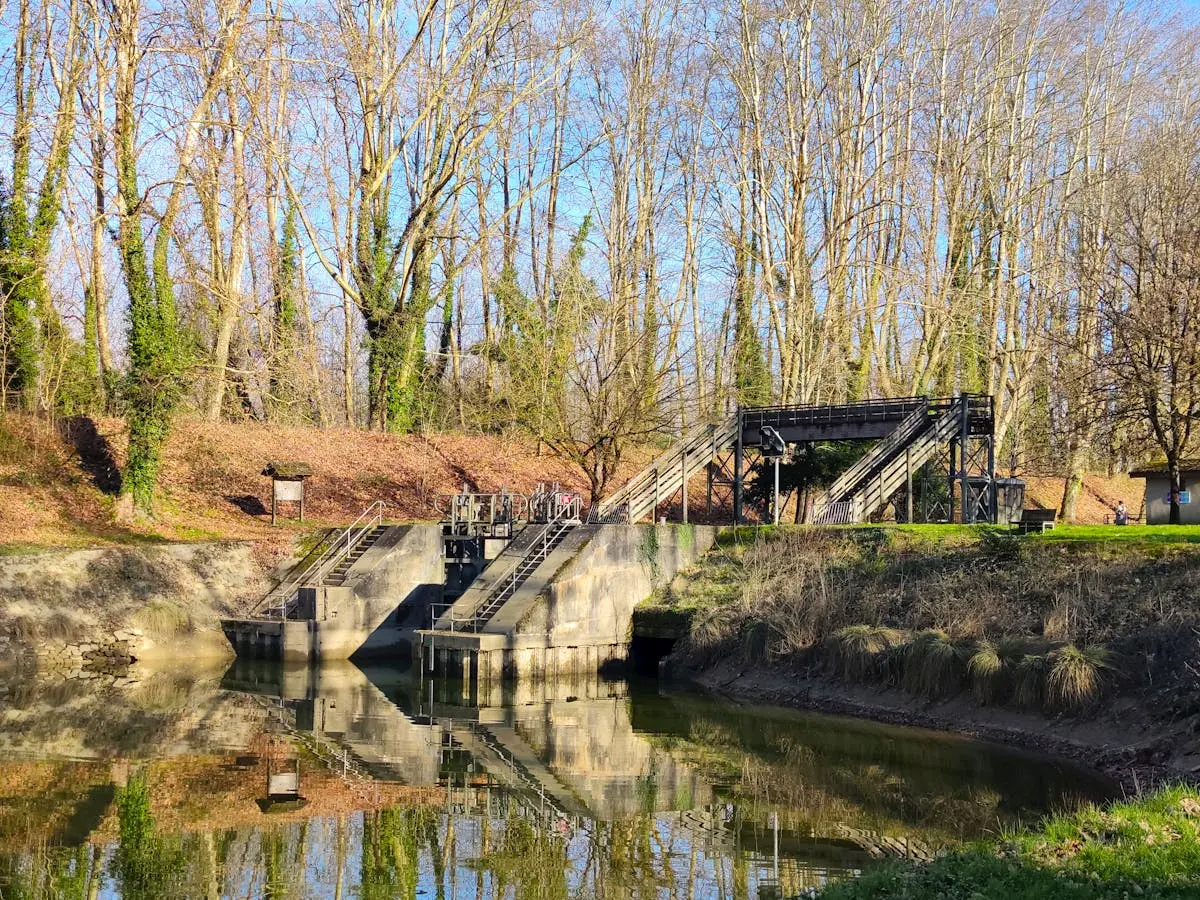 Tranquil scene of a canal lock surrounded by trees and reflected in calm water.