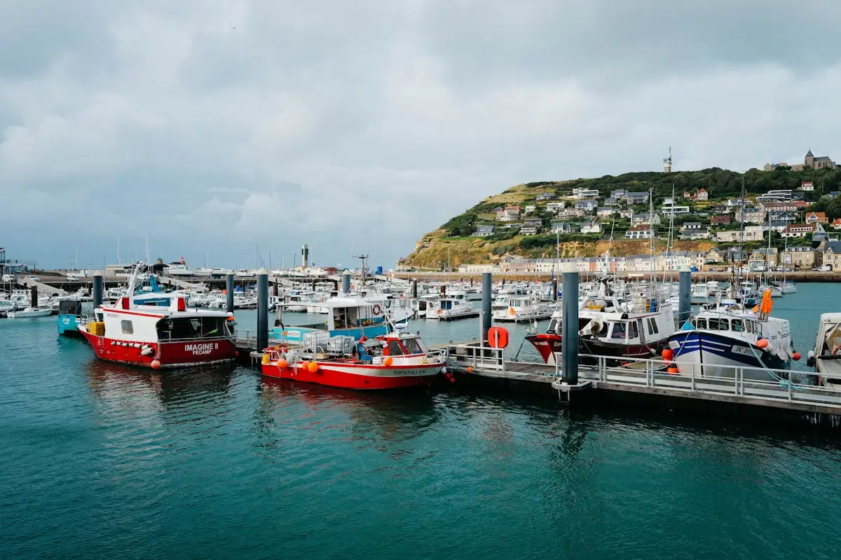 Colorful boats docked at a serene harbor with hills and buildings in the background, under a cloudy sky.
