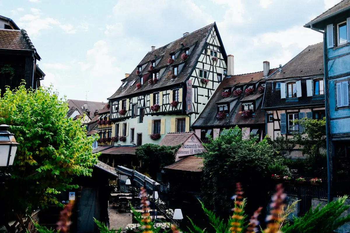 Exterior of historic houses with chimneys located near water canal with wooden walkway among green trees against cloudy sky in France