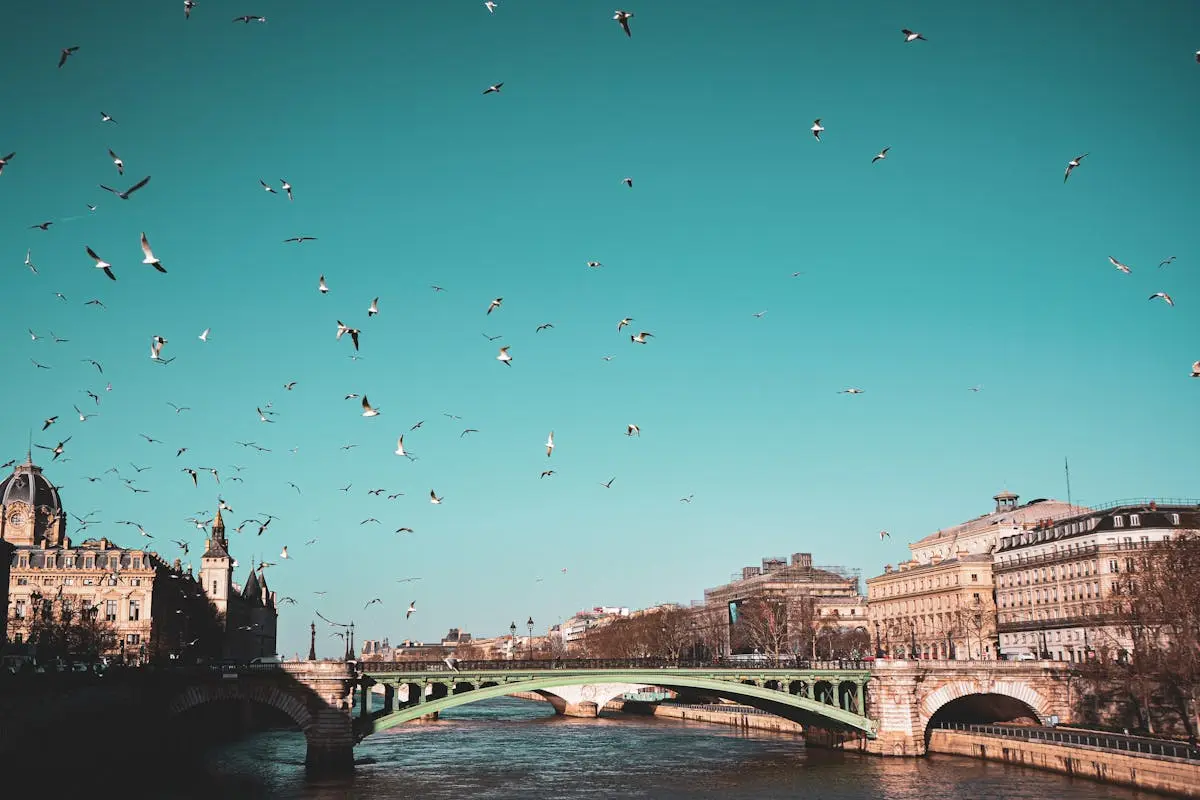 Mouettes sur un pont au-dessus de la Seine - Colombes