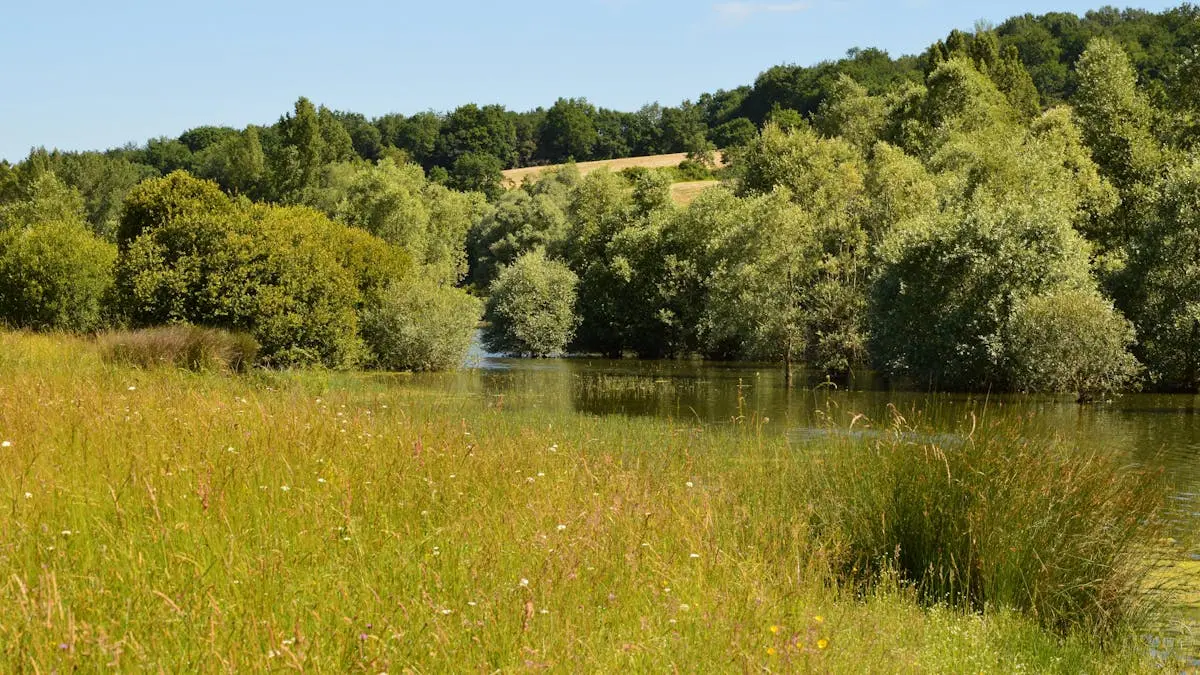 Explore a tranquil countryside scene with vibrant greenery and a peaceful river flowing through the forest.
