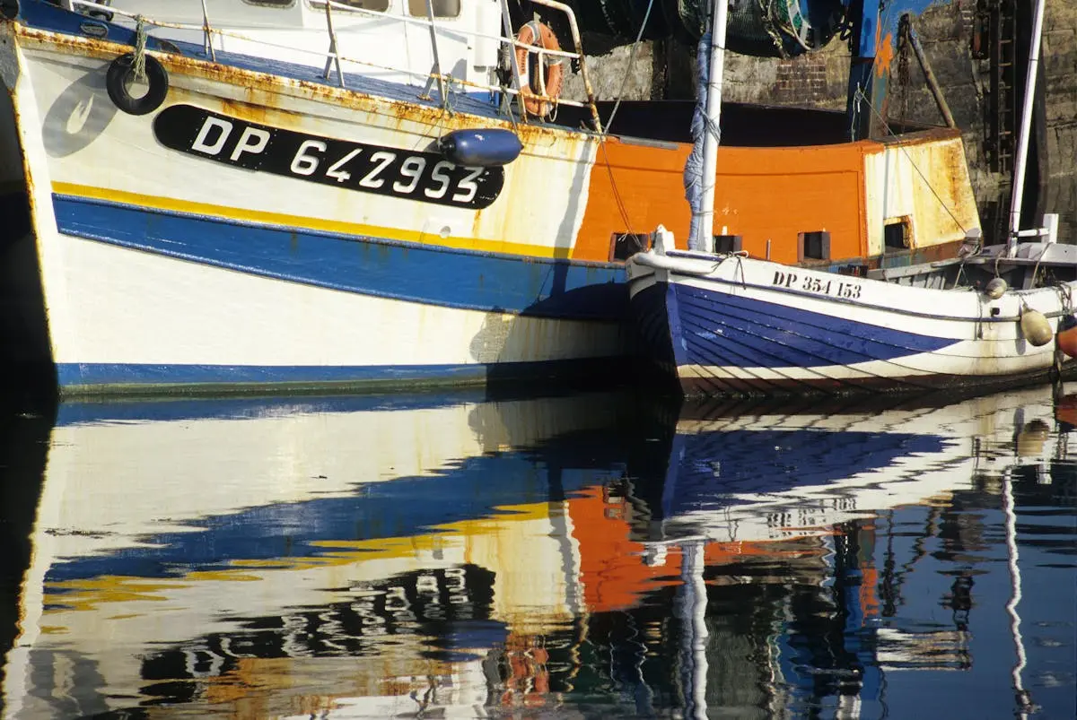 Vibrant fishing boats reflecting in Dieppe harbor waters during a sunny day.