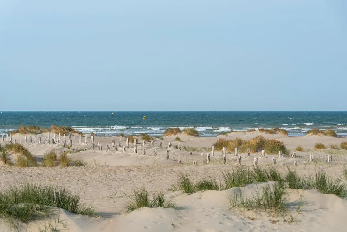 Plage de sable et dunes à Dunkerque dans le Nord