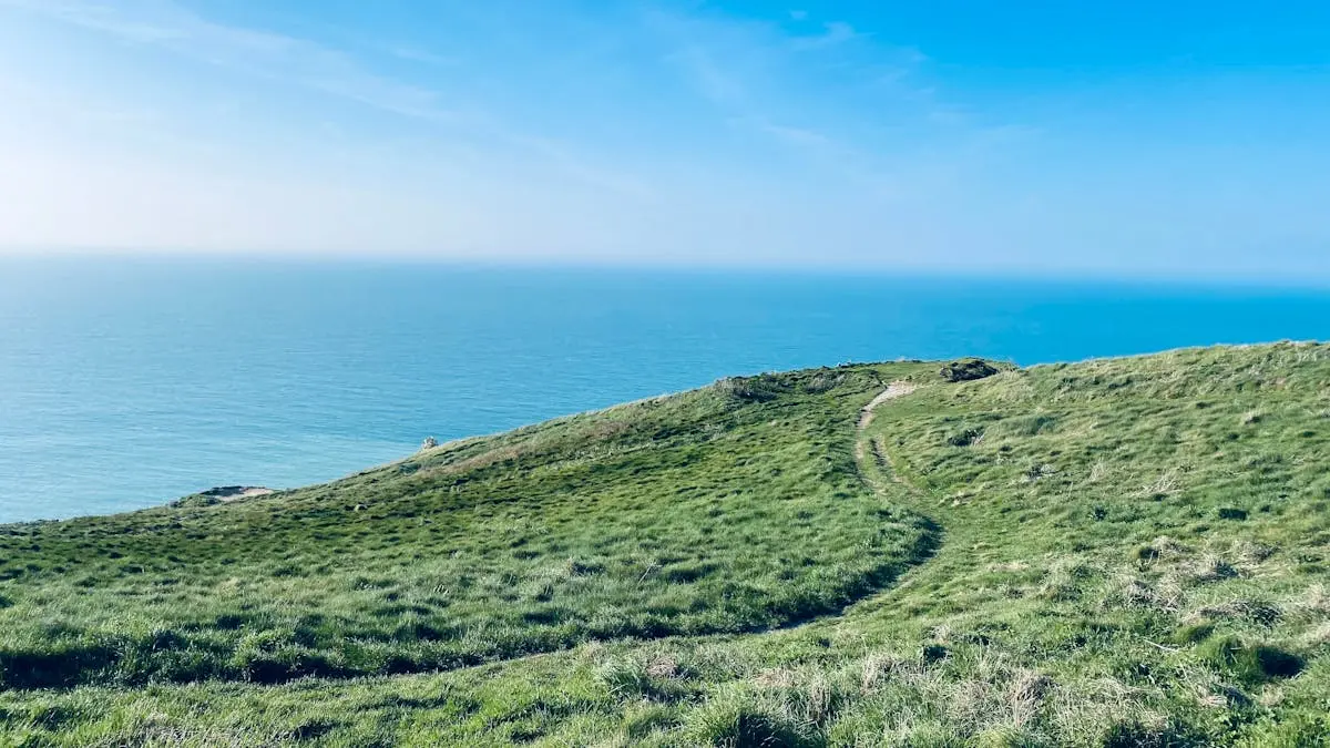 Breathtaking view of the Étretat cliffs with lush green grass and a serene ocean backdrop in Normandie, France.