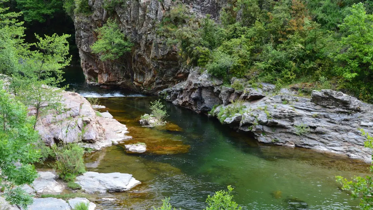 Beautiful river canyon with rocky cliffs and lush greenery in Florac, France.