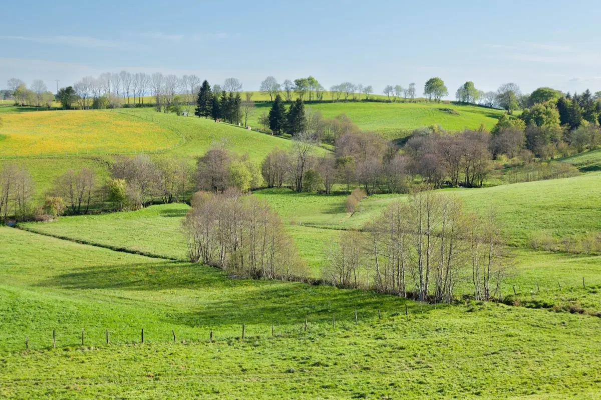 Lush green hills and serene valleys in Mont-Dore, France, embodying spring's vibrant beauty.