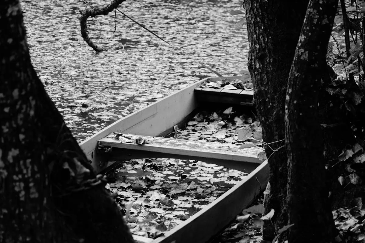 Barque sur le marais poitevin près de Niort