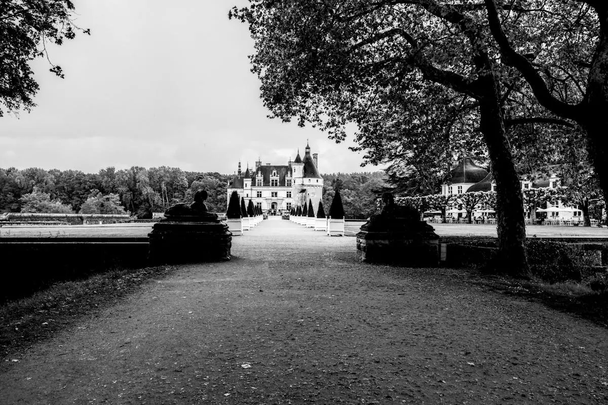 Vue en noir et blanc du château de Pau - Pyrénées-Atlantiques