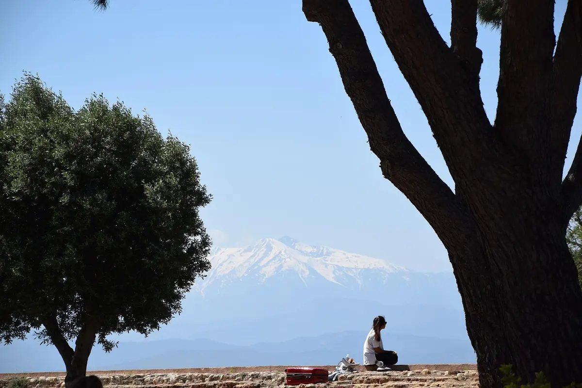 Ville de Perpignan avec les Pyrénées en arrière-plan