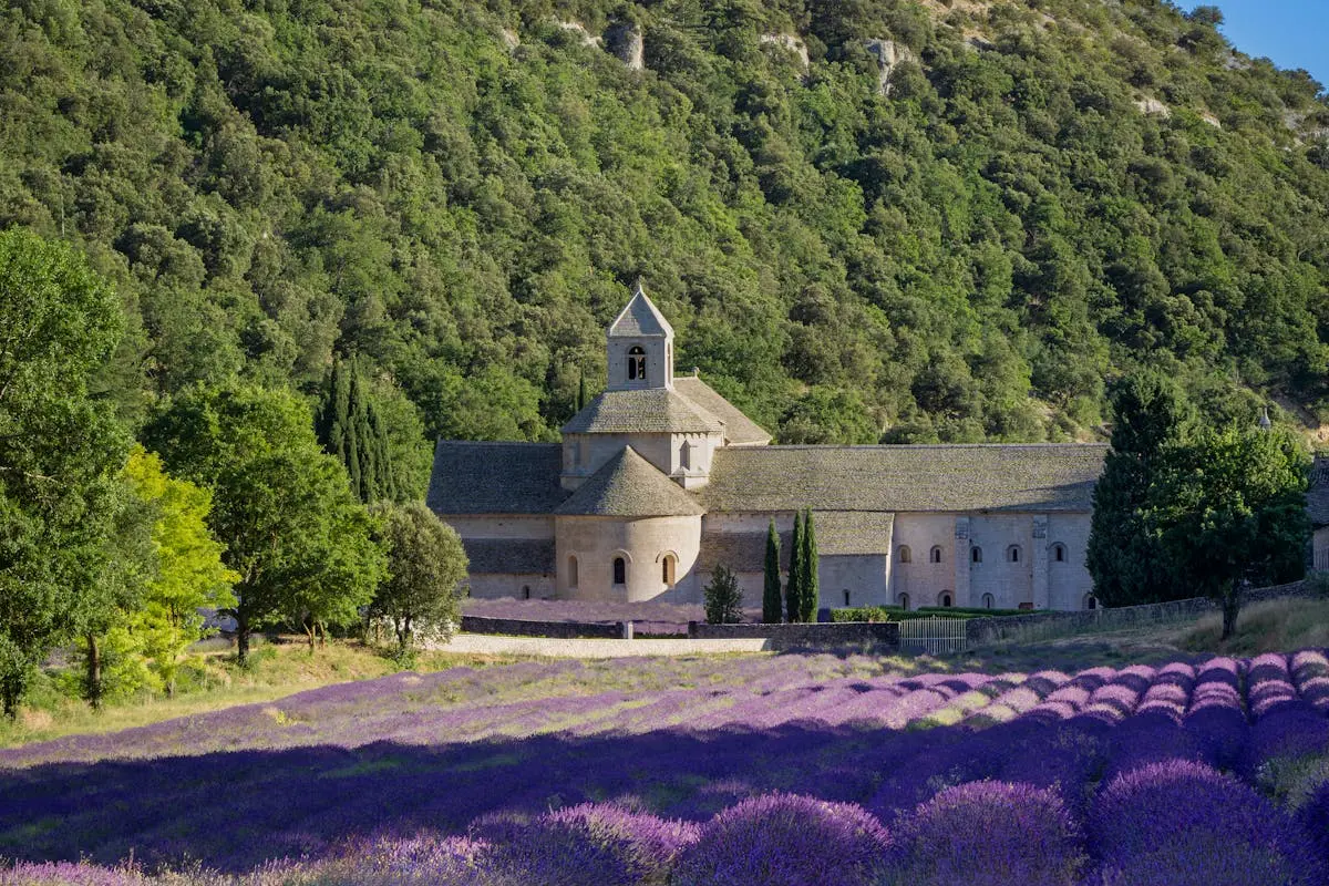 A picturesque view of Sénanque Abbey amidst vibrant lavender fields in Gordes, France.
