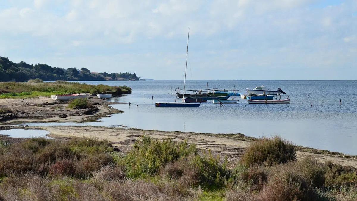 Idyllic landscape featuring boats on Étang de Thau in Balaruc-le-Vieux, Occitanie, France.