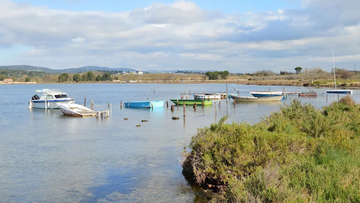 A peaceful scene of boats on Étang de Thau in Balaruc-le-Vieux, France.