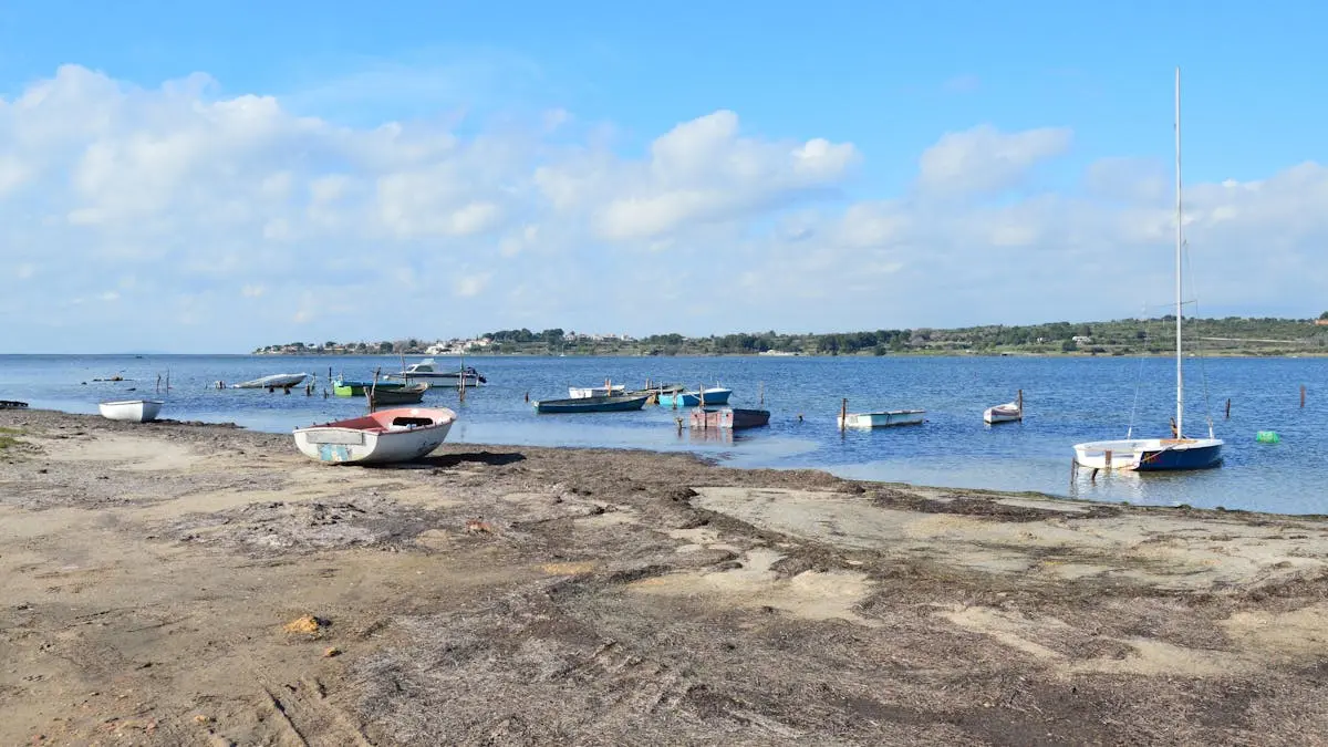 Scenic view of boats anchored on the shore of Étang de Thau in Balaruc-le-Vieux, France.