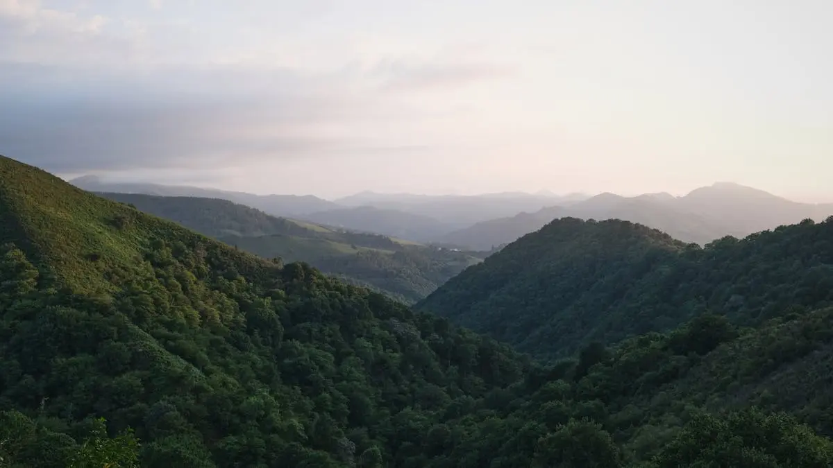 Serene landscape of lush green hills in Nouvelle-Aquitaine, France during daytime.