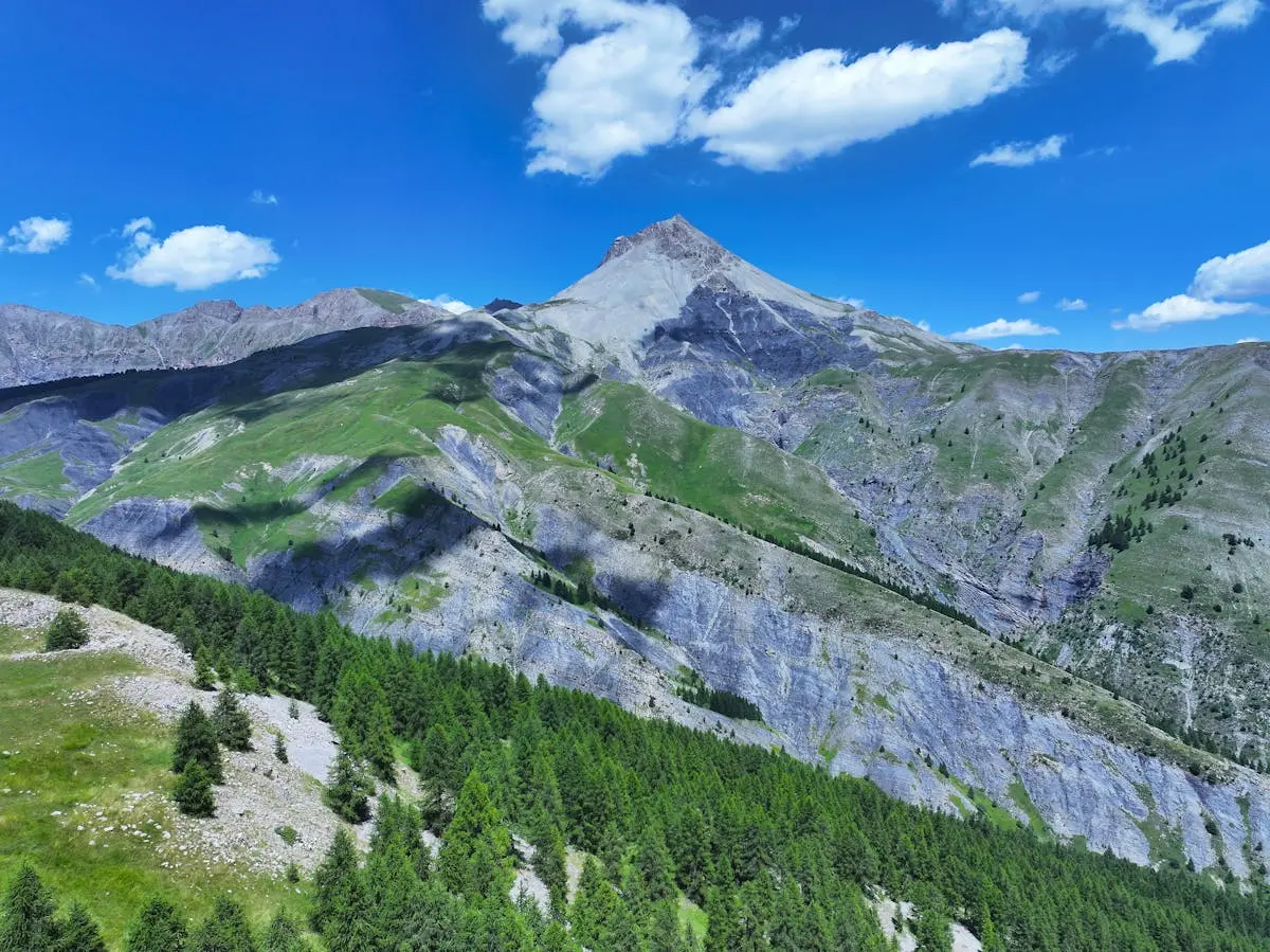 Stunning aerial view of the French Alps with lush greenery under a clear blue sky.