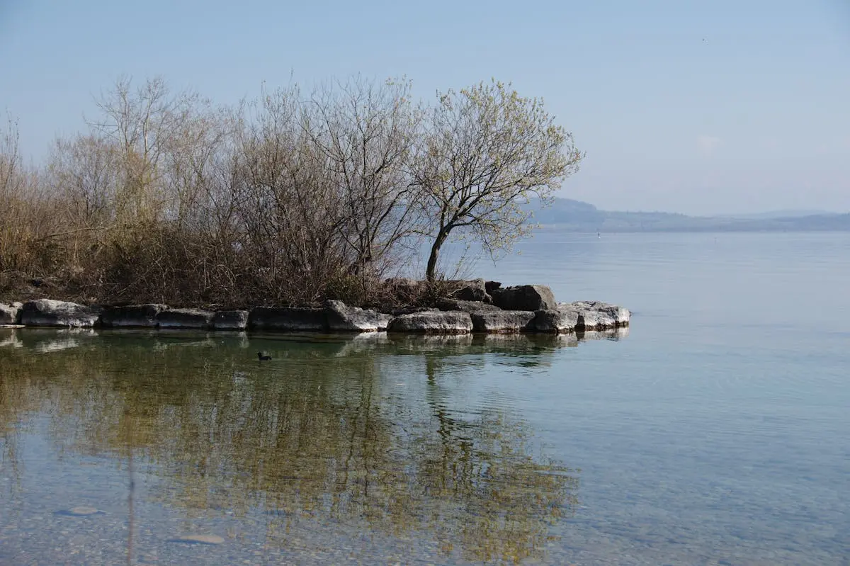 Serene scene of a lake with bare trees reflecting in calm waters on a clear day.